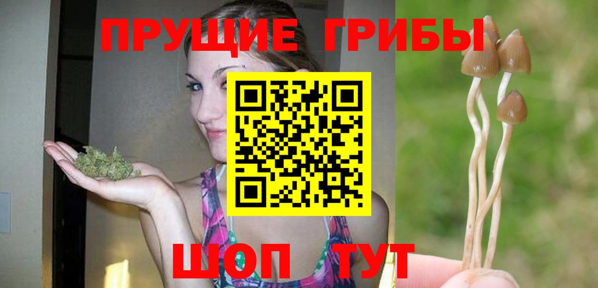 Псилоцибиновые грибы Psilocybe Таганрог